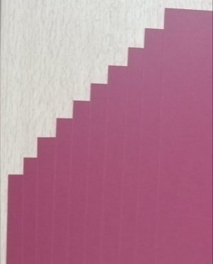 CB03 - Cartulina Burano Bordeux 220 gr