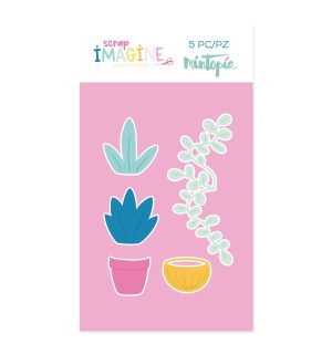 TQMT000060 - Mintopía Plantas