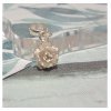 ag-pack03 Cadena + aretes y dije con forma de Rosa Plata 950 - Imagen 5