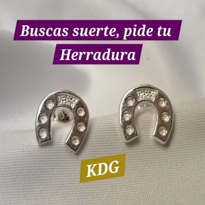 ag-ahe-01 Arete Herradura - Plata 950