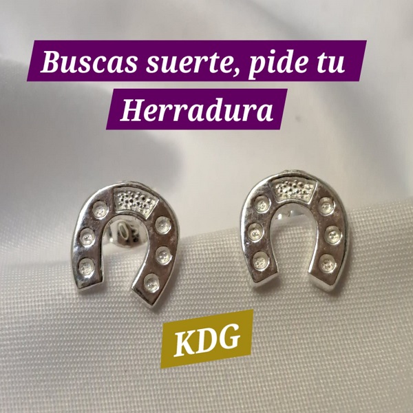 ag-ahe-01 Arete Herradura - Plata 950